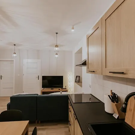 Zapomniany Zdroj Apartment *